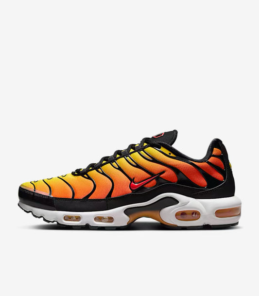 nike tn tigers